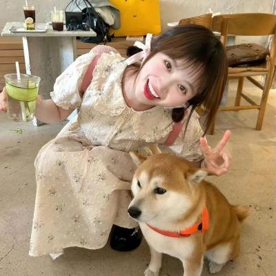 过去的日落